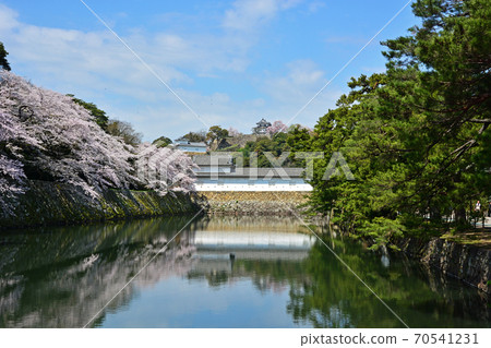 彥根城堡 彥根城堡 70541231