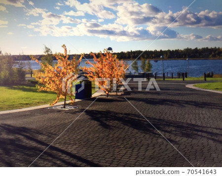 Nature autumn leaves lake 70541643