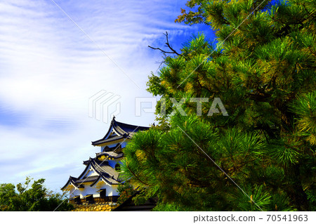 Scenery of Hikone Castle in Hikone City, Shiga Prefecture, Castle, Hikone Castle, Japanese History [October] 70541963