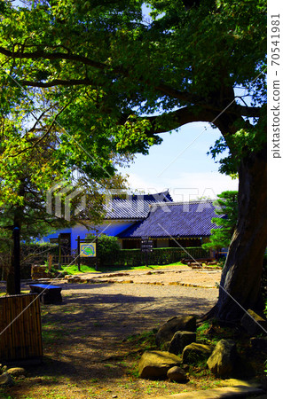 Scenery of Hikone Castle in Hikone City, Shiga Prefecture, Castle, Hikone Castle, Japanese History [October] 70541981