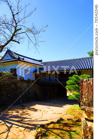 Scenery of Hikone Castle in Hikone City, Shiga Prefecture, Castle, Hikone Castle, Japanese History [October] 70542046