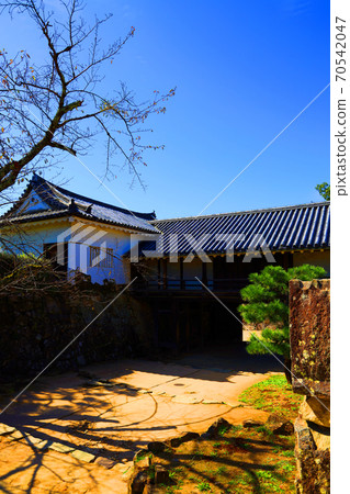 Scenery of Hikone Castle in Hikone City, Shiga Prefecture, Castle, Hikone Castle, Japanese History [October] 70542047