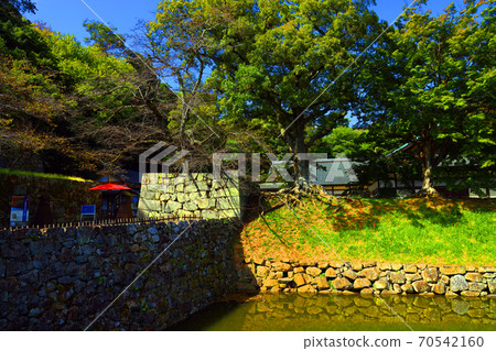 滋賀縣彥根市彥根城的風景，城堡，彥根城，日本歷史[10月] 70542160
