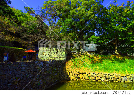 滋賀縣彥根市彥根城的風景，城堡，彥根城，日本歷史[10月] 70542162