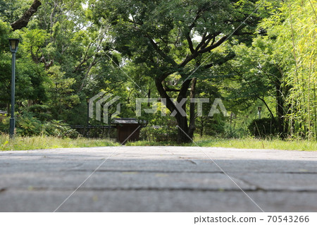 大阪府宮古島區藤田住宅公園 70543266