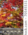 Kyoto Autumn Leaves Eikando 70545531