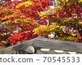 Kyoto Autumn Leaves Eikando 70545533