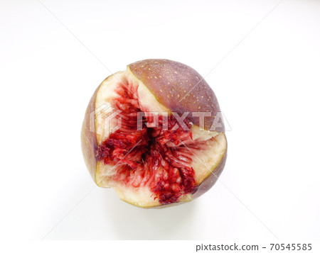 Fig fig Fig fig 70545585