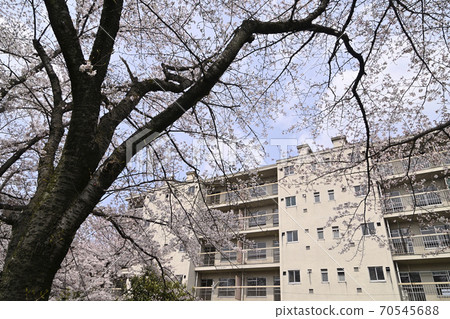 千里新町竹武台（大阪府深田市）縣立公共公司武竹C住宅區 70545688