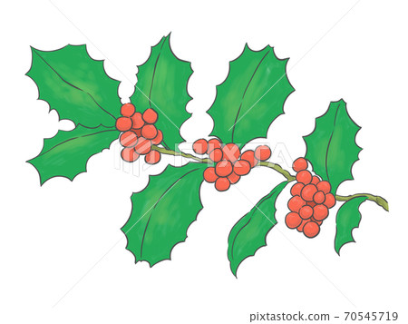 Holly branch Holly branch 70545719