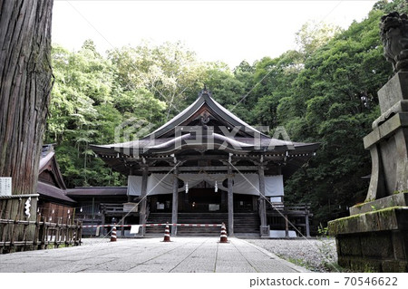 Main shrine and Sanbonsugi of Togakushi Shrine / Chusha 70546622