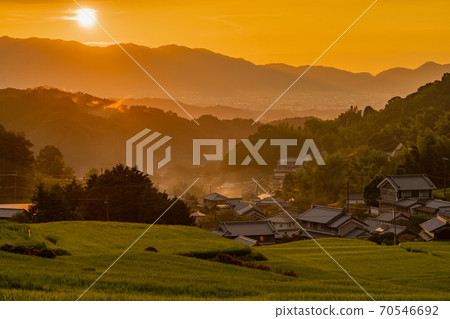 Photographed rice terraces in the evening of Hosokawa, Asuka Village, Nara Prefecture 70546692