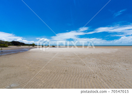 Mangrove beach Mangrove beach 70547015