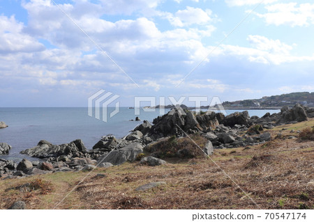 Species coast 70547174