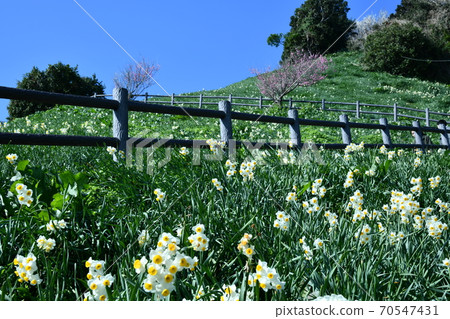 Next to Nadakuroiwa Suisenkyo 70547431