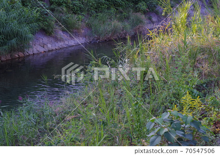 Autumn riverside scenery Autumn riverside scenery 70547506