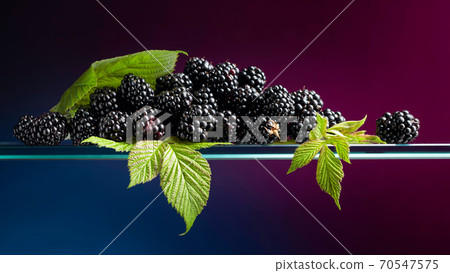 Ripe juicy blackberries with leaves. Ripe juicy blackberries with leaves. 70547575