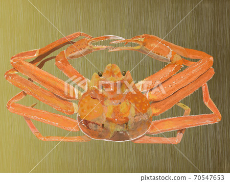 Gold back crab Gold back crab 70547653