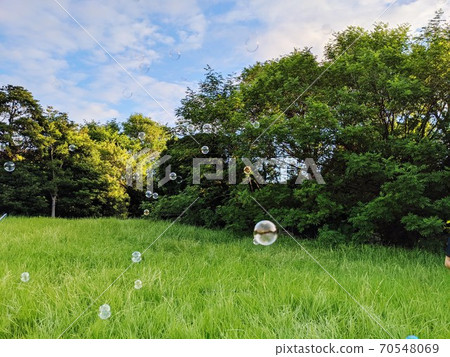 沙邦舞會跳舞的草叢風景 沙邦舞會跳舞的草叢風景 70548069