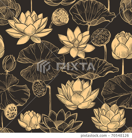Sketch lotus seamless pattern. Floral composition water lily flowers and leaves, monochrome lotuses for products, wallpaper vector texture Sketch lotus seamless pattern. Floral composition water lily flowers and leaves, monochrome lotuses for products, wallpaper vector texture 70548126
