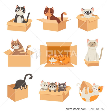Cats in boxes. Cute stickers with cat sitting, sleeping and playing in cardboard box. Funny hiding kittens. Adopt homeless pet, vector set Cats in boxes. Cute stickers with cat sitting, sleeping and playing in cardboard box. Funny hiding kittens. Adopt homeless pet, vector set 70548192