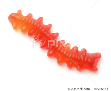 Top view of red jelly worm 70548641