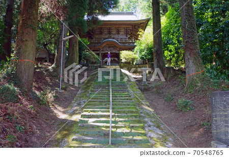 大分市指定的有形文化財產圓山神社和苔蘚的石階 70548765