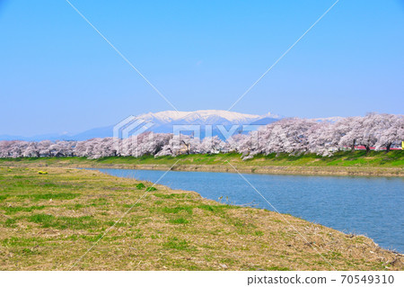櫻花景白石河岸 70549310