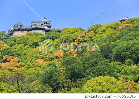 [Ehime Prefecture] Matsuyama Castle under fine weather (castle tower and turret) 70550190