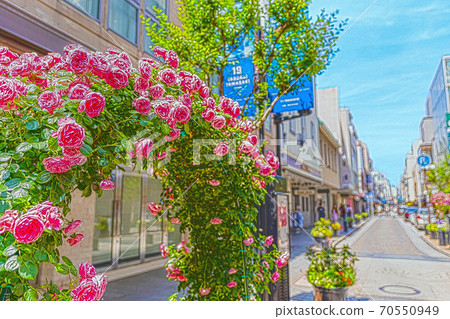 [Anime style] Motomachi Shopping Street, Yokohama, Kanagawa 70550949