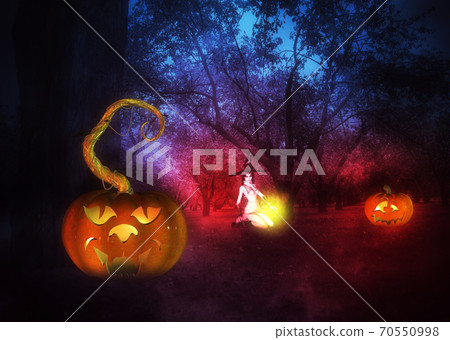 Halloween pumpkins in the garden 70550998