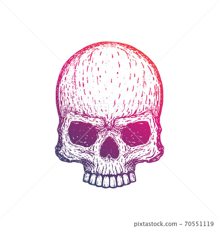 Skull hand drawn vector illustration 70551119