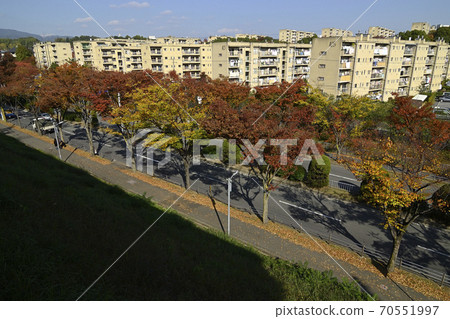 千代新千里新城(大阪府福田市)縣立公共公司藤千代B住宅區,Senri Hills G住宅區 千代新千里新城(大阪府福田市)縣立公共公司藤千代B住宅區,Senri Hills G住宅區 70551997