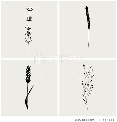 Logo branch. Hand drawn wedding herb. Plant and leaves for invitation card design. Botanical rustic trendy greenery vector illustration.  70552543
