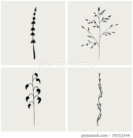 Herbs collection. Line art natural leaves set. Simple and elegant hand drawn illustration. Vintage floral elements. 70552544