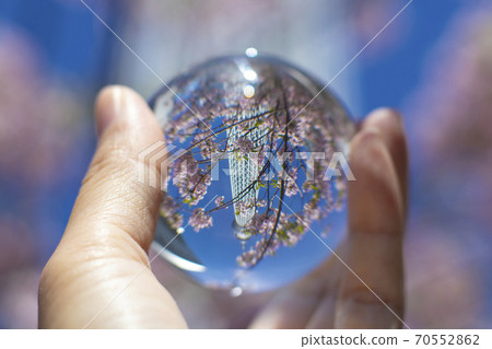 Sky Tree reflected in the lens ball Sky Tree reflected in the lens ball 70552862