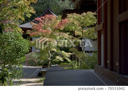 延世寺附近的紅葉 延世寺附近的紅葉 70553042