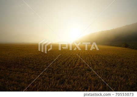 National Park, Wolchulsan, Yeongam Fields 70553073