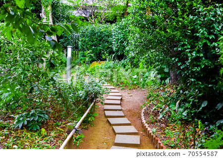 Stepping stones in a lush garden 70554587