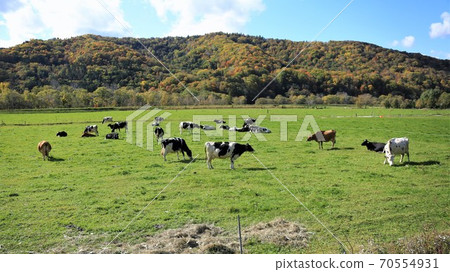 A landscape of a ranch A landscape of a ranch 70554931
