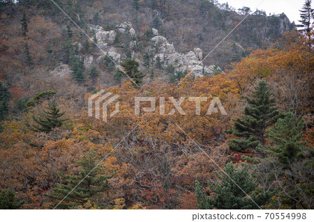 Soraksan, Sokcho, Gangwon-do 70554998