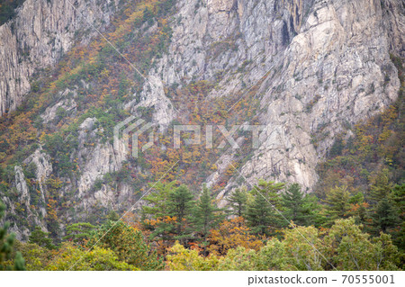 Soraksan，Sokcho，江原道 70555001