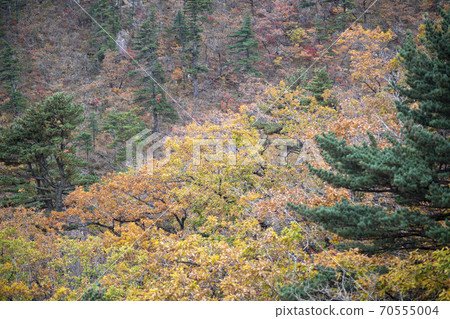 Soraksan, Sokcho, Gangwon-do Soraksan, Sokcho, Gangwon-do 70555004