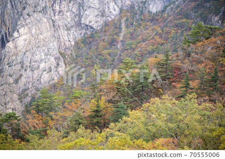 Soraksan, Sokcho, Gangwon-do Soraksan, Sokcho, Gangwon-do 70555006