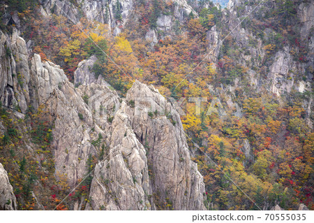 Soraksan，Sokcho，江原道 70555035