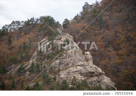 Soraksan, Sokcho, Gangwon-do 70555054