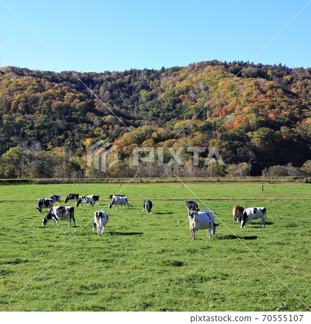 A landscape of a ranch 70555107