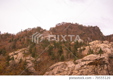 Soraksan，Sokcho，江原道 70555120