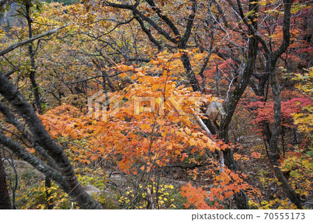 Soraksan, Sokcho, Gangwon-do 70555173