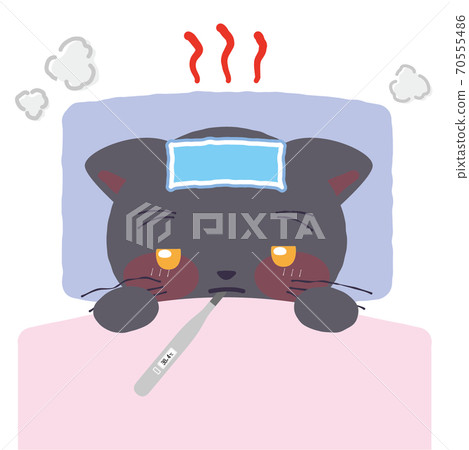 Black cat sleeping with fever Black cat sleeping with fever 70555486